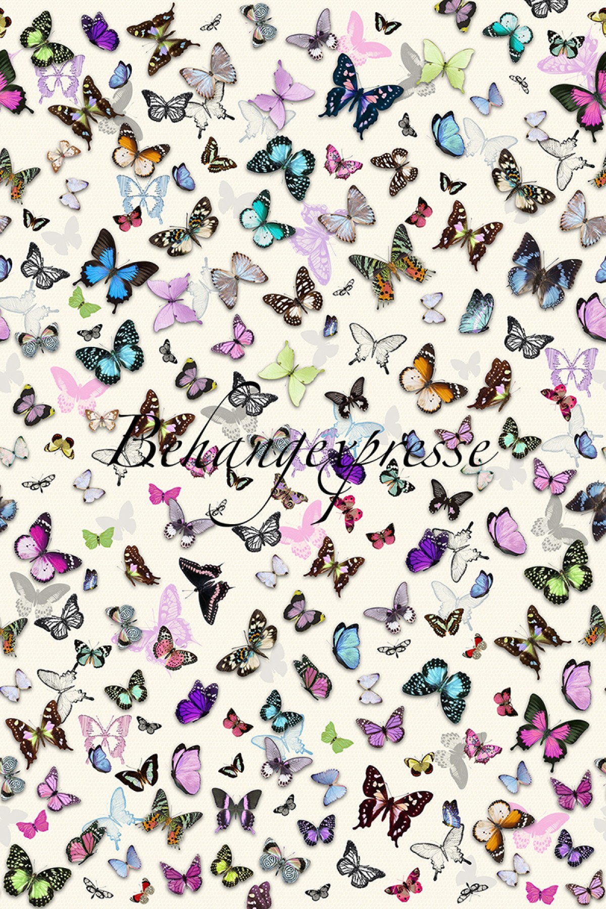 Colorchoc INK6072